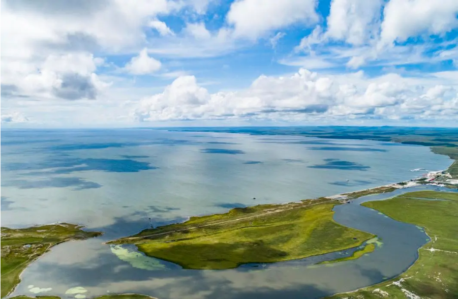 内蒙古:地表水水质自动监测物联网系统